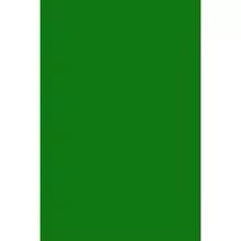Collapsible Green Screen for Gaming & Streaming